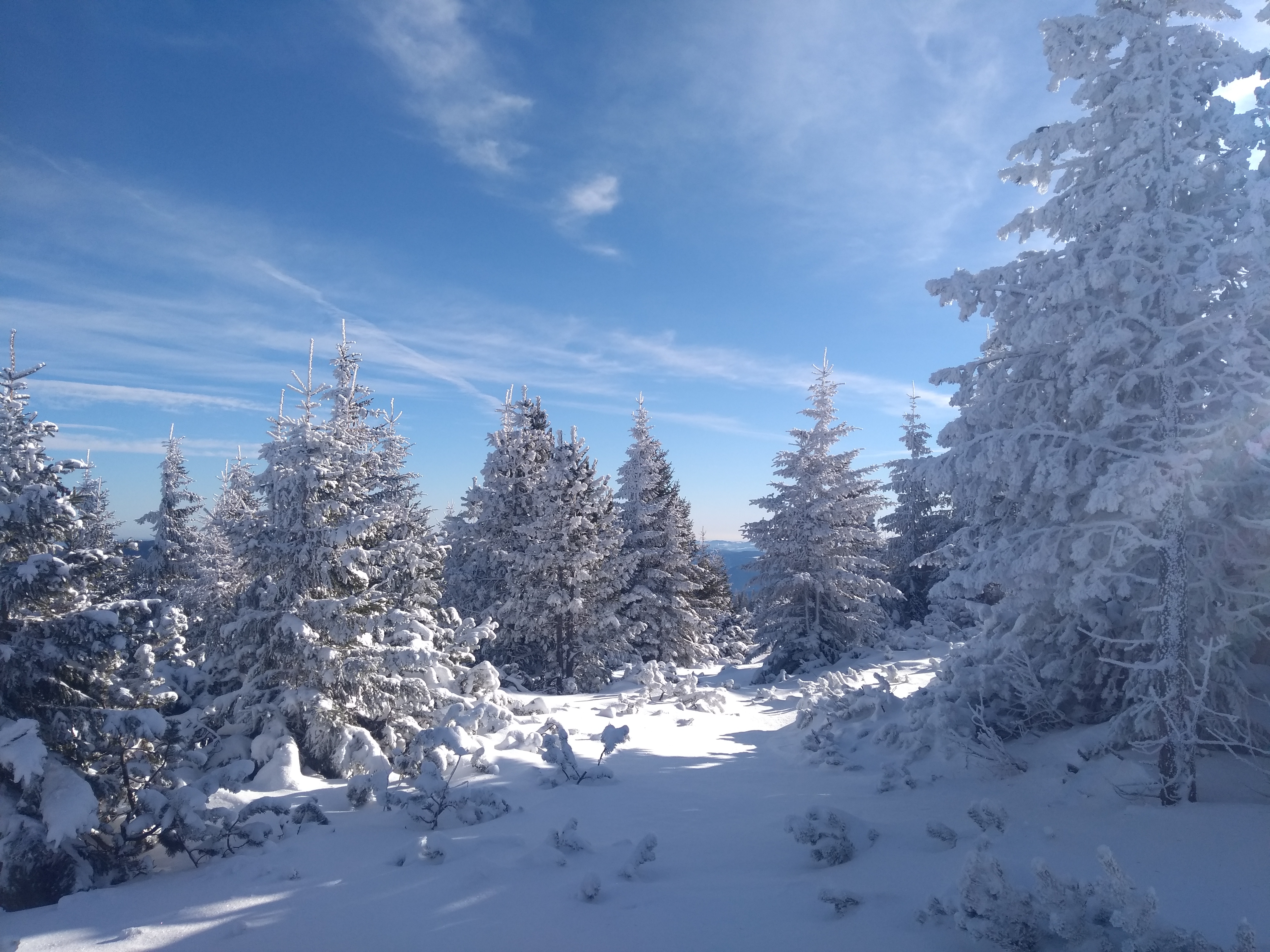 Snowshoe tour in the Austrian Alps